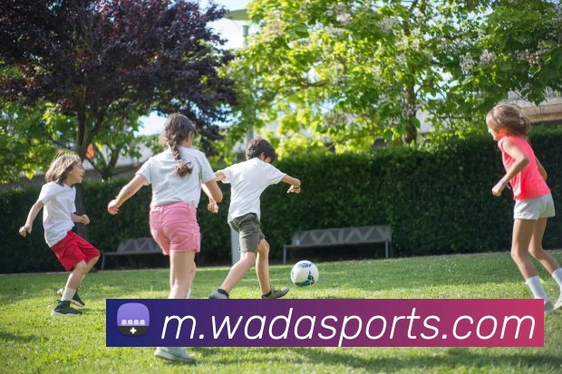 多媒体互动体验