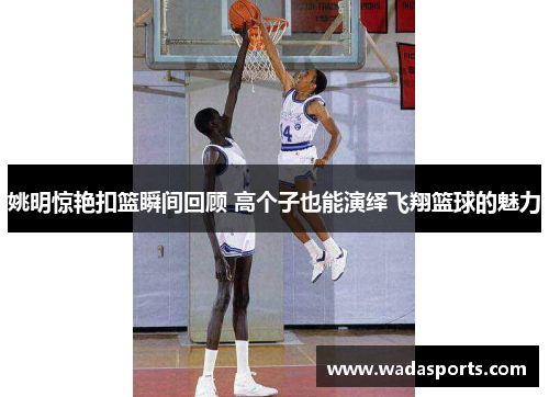 姚明惊艳扣篮瞬间回顾 高个子也能演绎飞翔篮球的魅力 姚明惊艳扣篮瞬间回顾 高个子也能演绎飞翔篮球的魅力