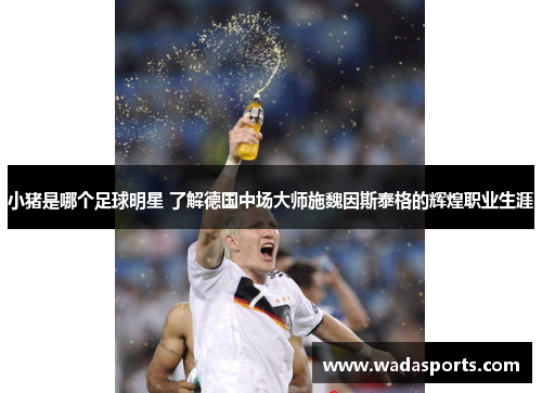 小猪是哪个足球明星 了解德国中场大师施魏因斯泰格的辉煌职业生涯 小猪是哪个足球明星 了解德国中场大师施魏因斯泰格的辉煌职业生涯