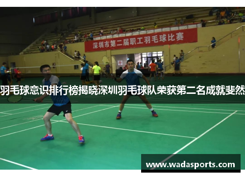 羽毛球意识排行榜揭晓深圳羽毛球队荣获第二名成就斐然