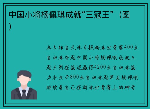 中国小将杨佩琪成就“三冠王”（图）